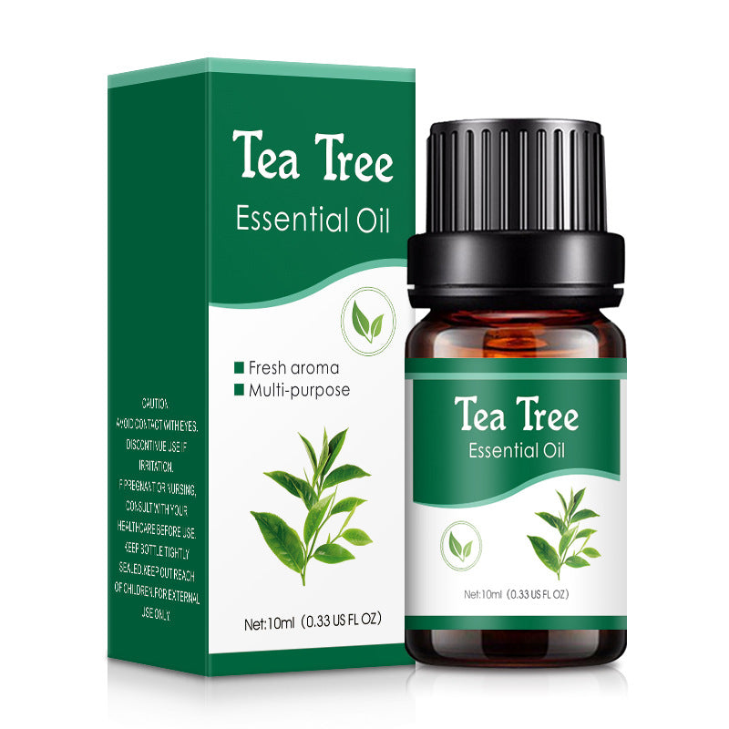 Wholesale Rose Perfume Oil Tea tree Water-soluble Aromatherapy Oil