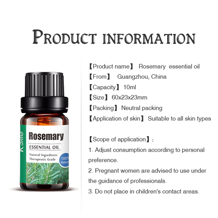Rosemary Essential Oil for Hair Growth