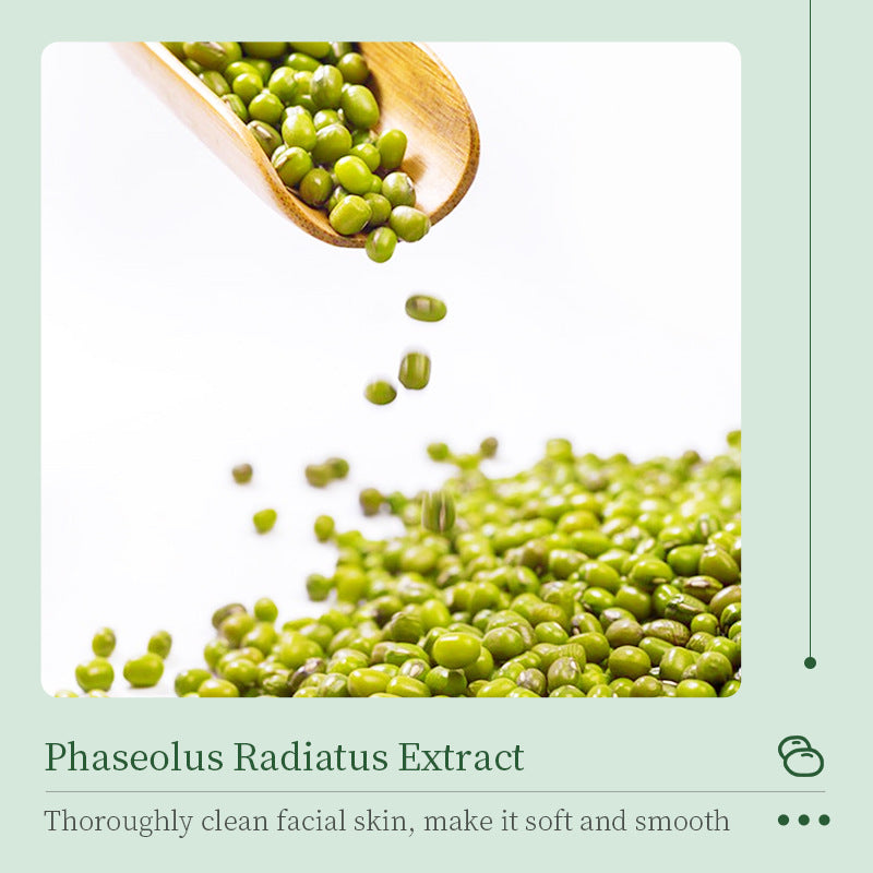 Wholesale Anti Oxidation Mung Bean Amino Acid Face Cleanser for Dry Skin