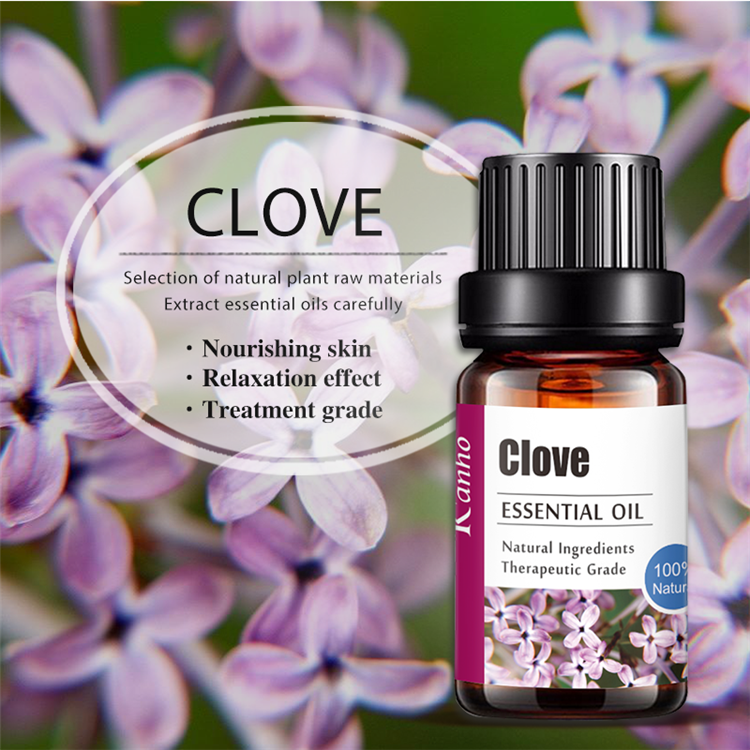 Wholesale Clove Essential Oil 10ML