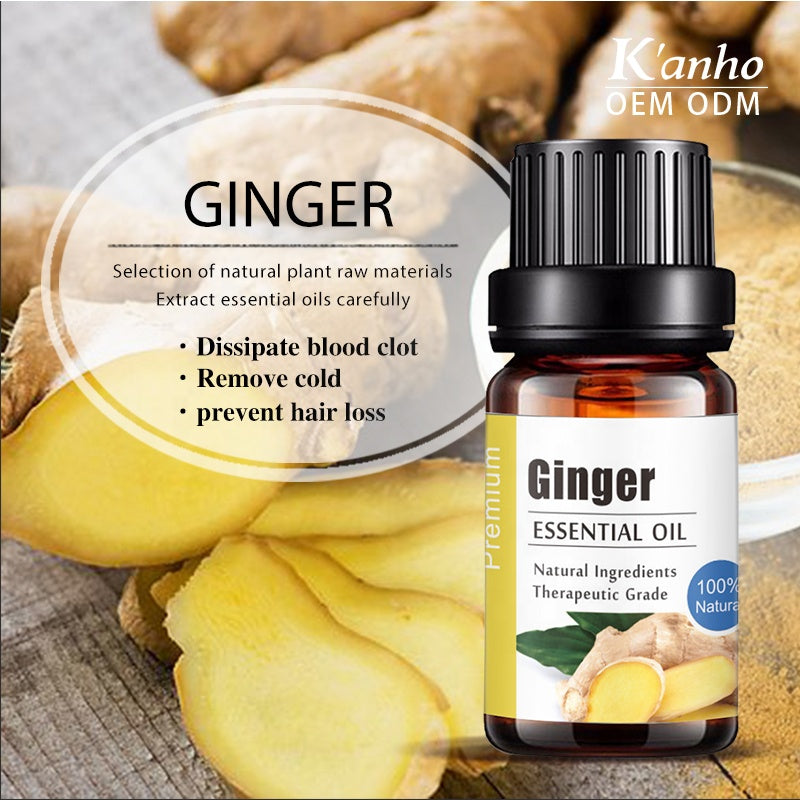 Wholesale 100% Pure Plant Therapy Ginger Essential Oil for Hair Skin