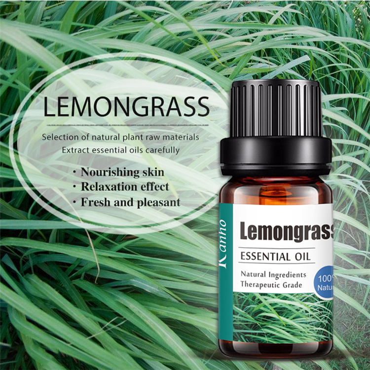 OEM Candle Perfume Making Eucalyptus Essential Oil for Diffuser 10ML