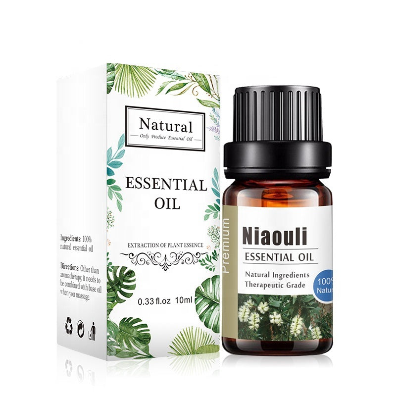 OEM Premium Niaouli Essential Oil for Making Perfume
