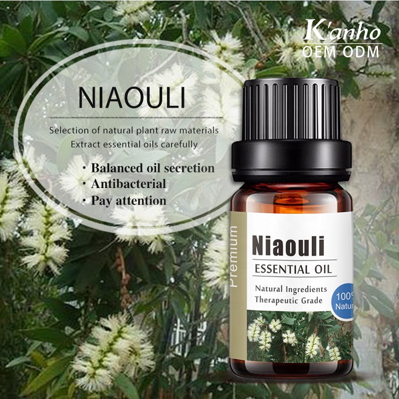 OEM Premium Niaouli Essential Oil for Making Perfume