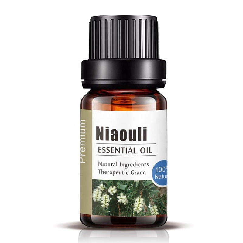 OEM Premium Niaouli Essential Oil for Making Perfume