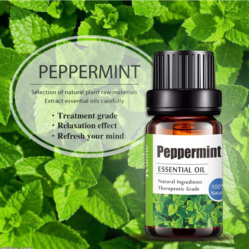 OEM Candle Perfume Making Peppermint Essential Oil for Diffuser 10ML
