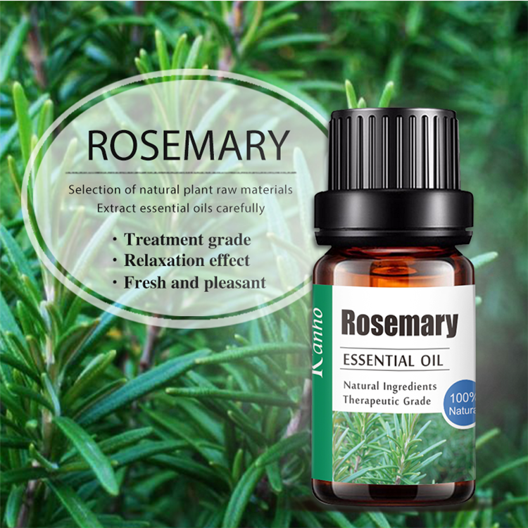 Rosemary Essential Oil for Hair Growth