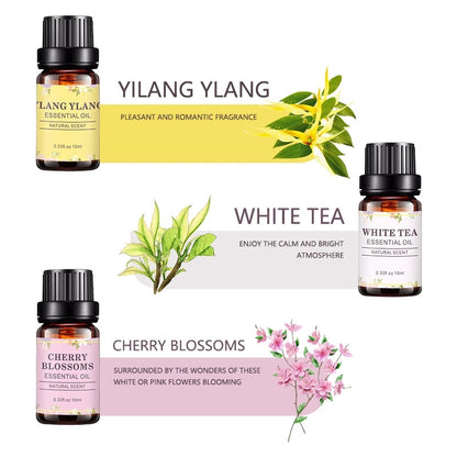 OEM Premium Pure Flower Essential Oils Set, Ylang Ylang, Gardenia, Jasmine, Rose, White Tea, Cheery Blossoms