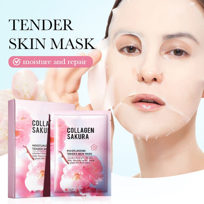 Skin Care Collagen Hyaluronic Acid Overnight Facial Mask Sheet Collagen Face Mask Set