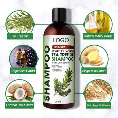 Wholesale Anti-broken Moisturizing Anti Dandruff Shea Moisture Shampoo for All Hair
