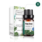 Pine Tree Essential Oil 10ML