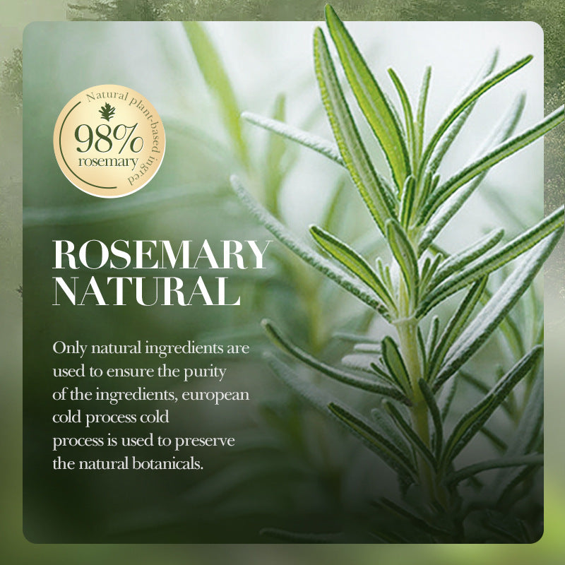 Wholesale Oil Control Rosemary Shampoo for Repairing Damage Hair, Rich Foam and Anti-Dandruff