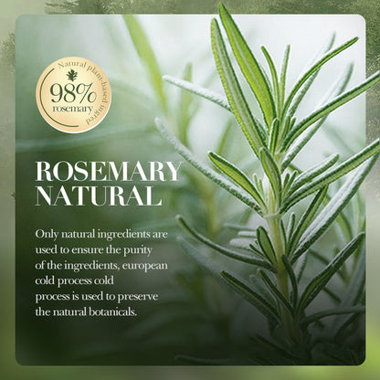 Wholesale Oil Control Rosemary Shampoo for Repairing Damage Hair, Rich Foam and Anti-Dandruff