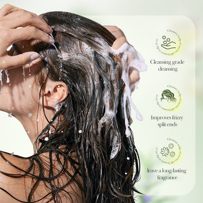 Wholesale Oil Control Rosemary Shampoo for Repairing Damage Hair, Rich Foam and Anti-Dandruff