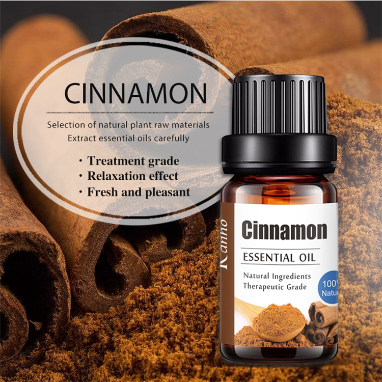 Cinnamon Essential Oil 10ML