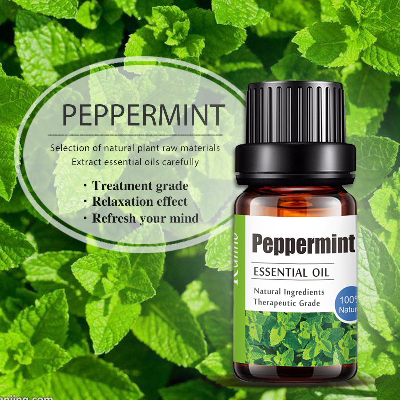 Peppermint Essential Oil 10ML