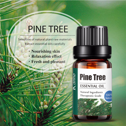 Pine Tree Essential Oil 10ML