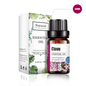 Clove Essential Oil 10ML