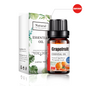 Grapefruit Essential Oil 10ML