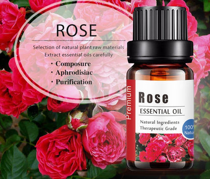 Rose Essential Oil